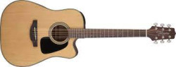 Takamine GD10 CE-NS